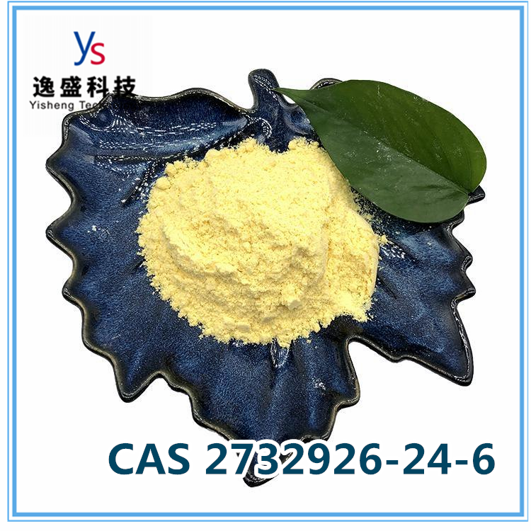 CAS 2732926-24-6 C21H26N4O3 Sample Available